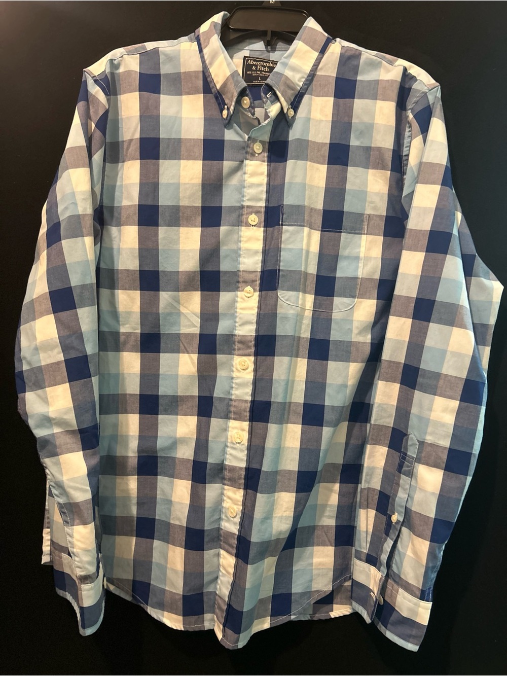 Abercrombie & Fitch Blue and White Check Button-Down Shirt - Men's